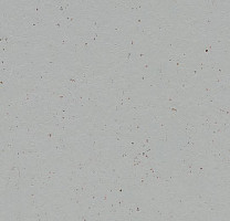 Forbo Marmoleum Solid Cocoa 3582-358235 earl grey chocolate фото 1 | FLOORDEALER